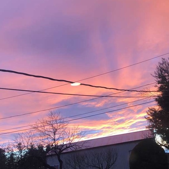 Meet your Posher, Alex - Picture 1 of 1